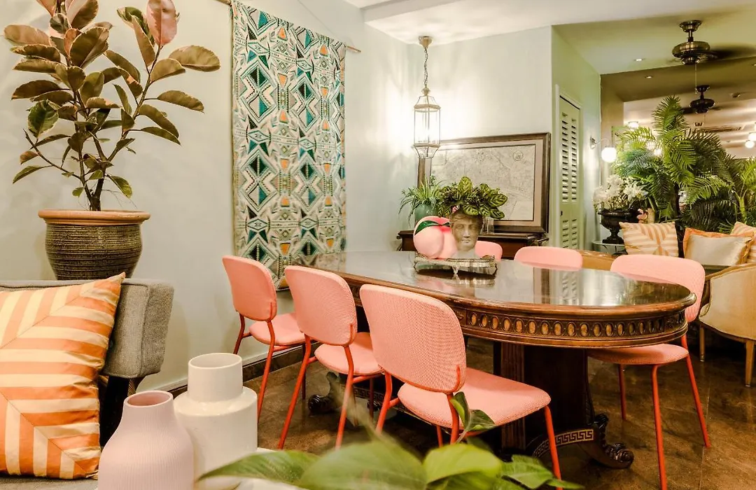 Adler Hostel (Adults Only)-1